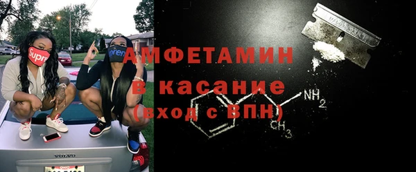 индика Алзамай
