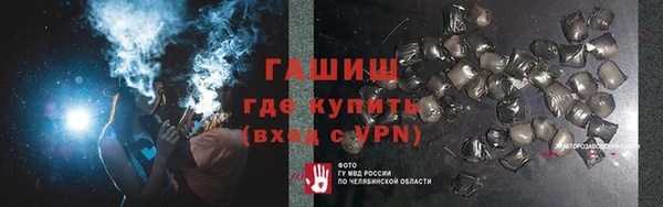 индика Алзамай