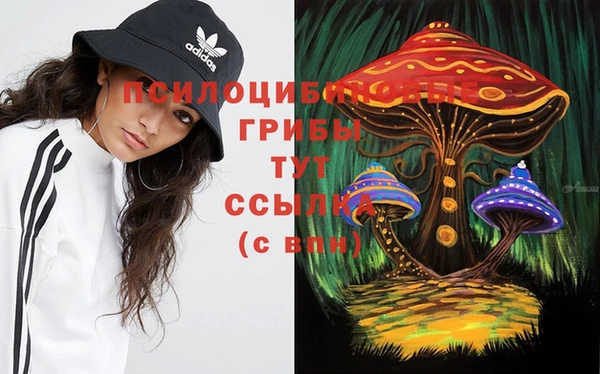индика Алзамай