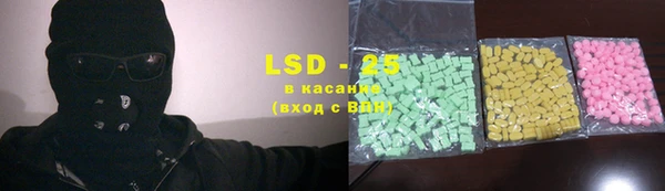 индика Алзамай