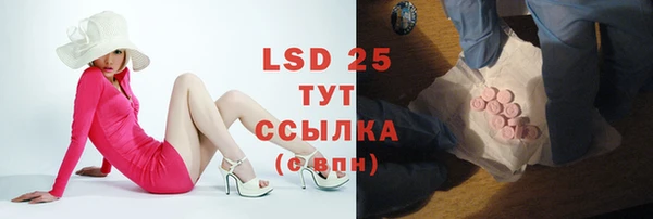 индика Алзамай