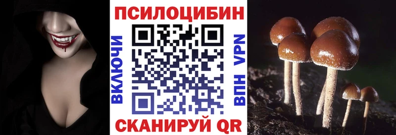 Псилоцибиновые грибы Magic Shrooms  купить наркотик  даркнет наркотические препараты  Белореченск 