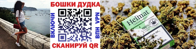 купить наркотики цена  KRAKEN онион  Каннабис семена  Белореченск 